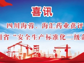 海蓉、海匯藥業(yè)獲評(píng)“安全生產(chǎn)標(biāo)準(zhǔn)化二級(jí)企業(yè)”